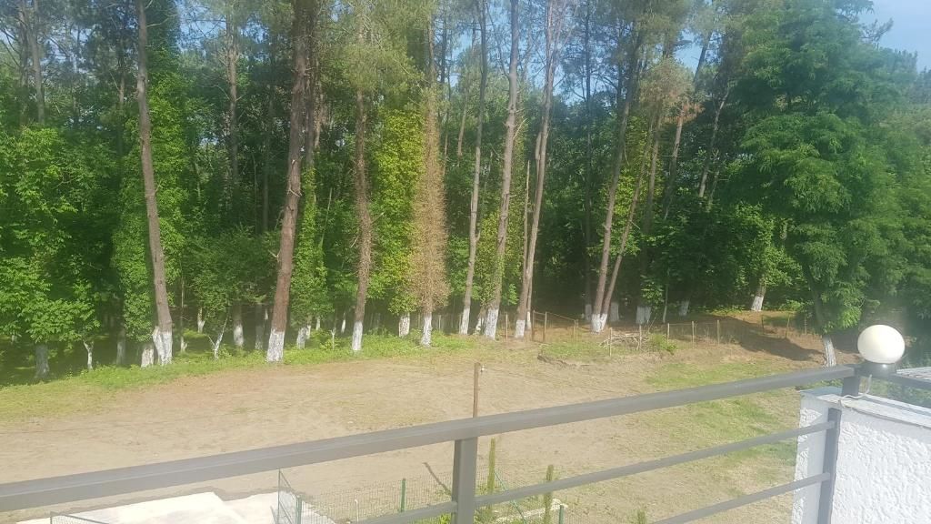 Виллы Comfortable Villa in Shekvetili Шекветили-61