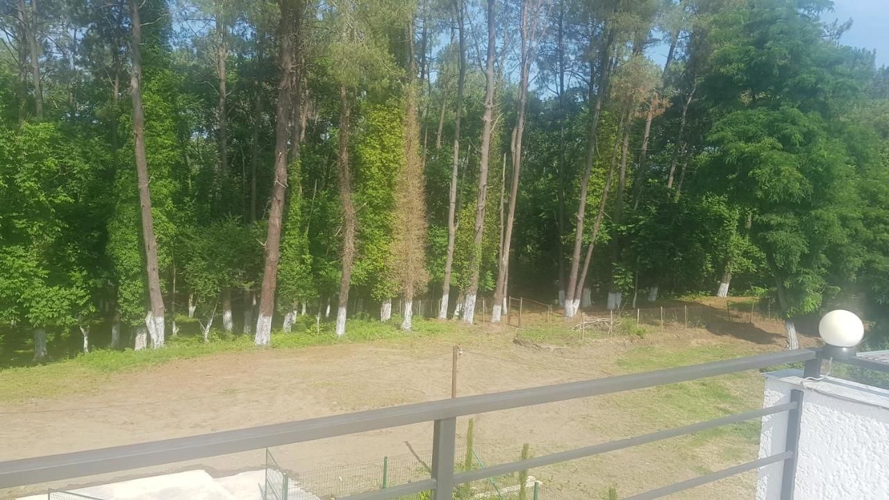 Виллы Comfortable Villa in Shekvetili Шекветили-10